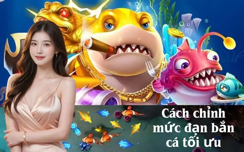 Cách chỉnh mức đạn bắn cá tối ưu