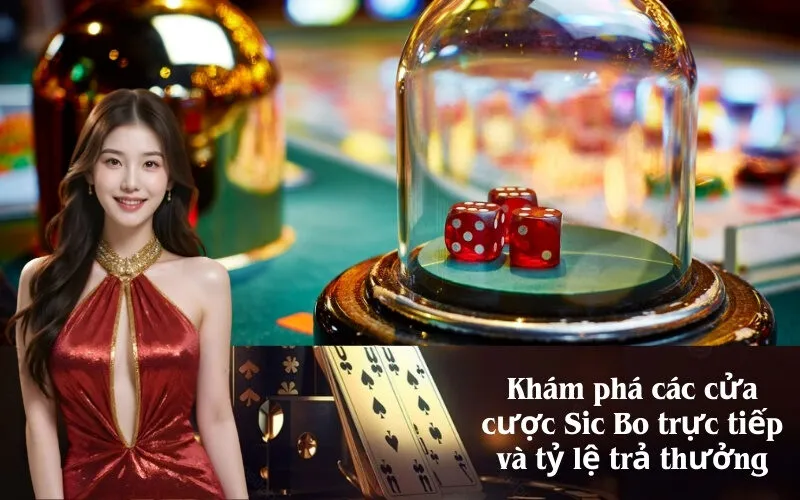 Khám phá các cửa cược Sic Bo trực tiếp và tỷ lệ trả thưởng